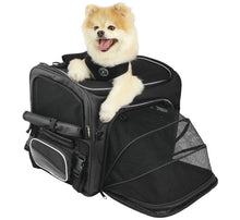 Load image into Gallery viewer, Nelson-Rigg Route 1 Rover Pet Carrier