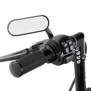 Arlen Ness Fusion Smoothie Grips with Dual Cable Throttle (for Harley)