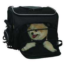 Load image into Gallery viewer, Nelson-Rigg Route 1 Rover Pet Carrier Dog Inside Mesh