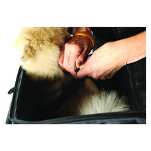 Load image into Gallery viewer, Nelson-Rigg Route 1 Rover Pet Carrier Clip